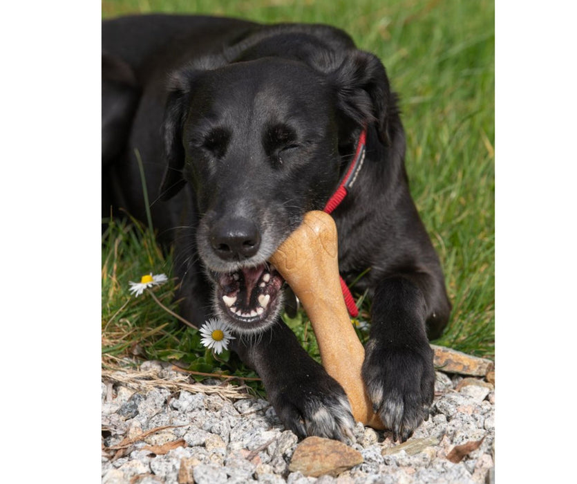 Planet Bone Shaped Dog Chew