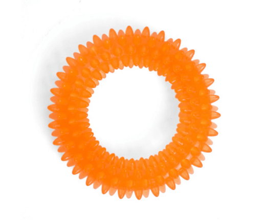 Seriously Strong Dental Ring Dog Toy