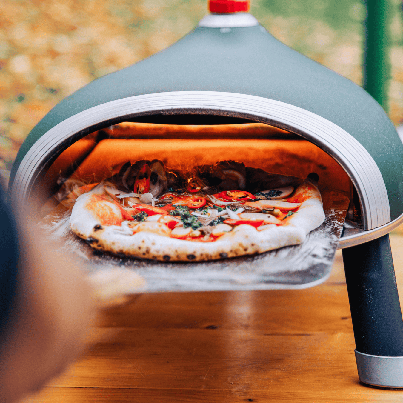 Delivita Wood Fired Pizza Ovens