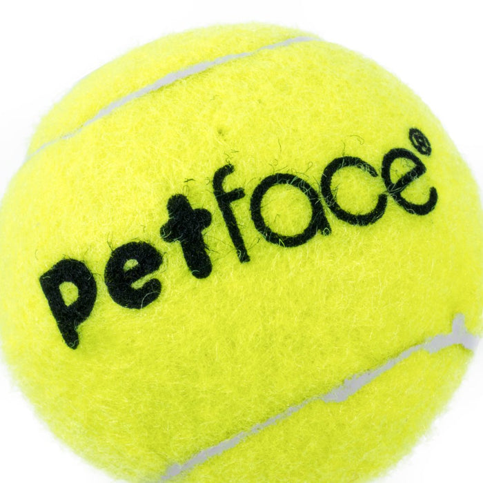 Tennis Balls Dog Toy