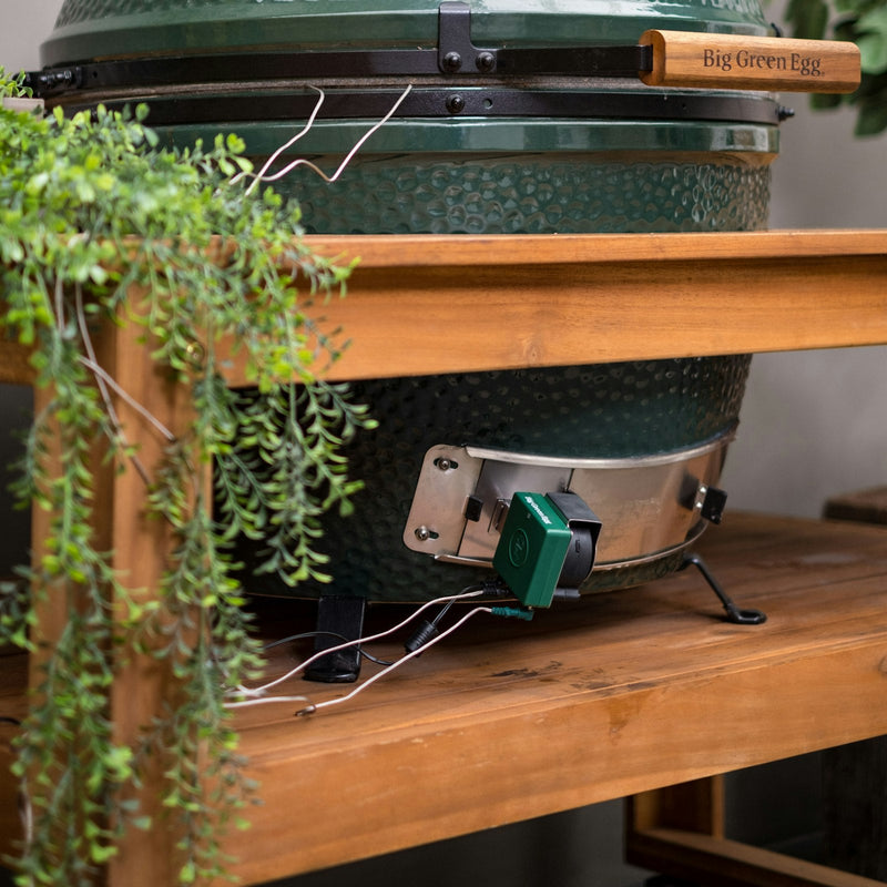 Big Green Egg - EGG Genius Big Green Egg
