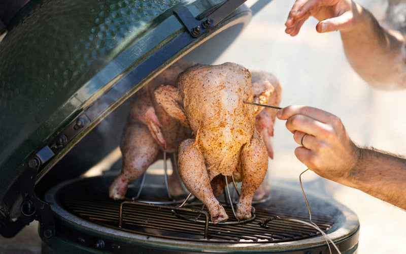 Big Green Egg - EGG Genius Big Green Egg