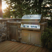 Napoleon 700 Built-In Grill 32 Gas Grill with Rear Infrared Burner Napoleon Grills