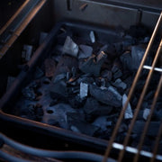 Napoleon Cast Iron Charcoal and Smoker Tray Napoleon Grills