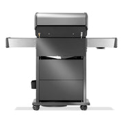 Napoleon Rogue® PRO-S 425 RSIB Gas BBQ RPS425RSIBPSS-2-GB Napoleon Grills