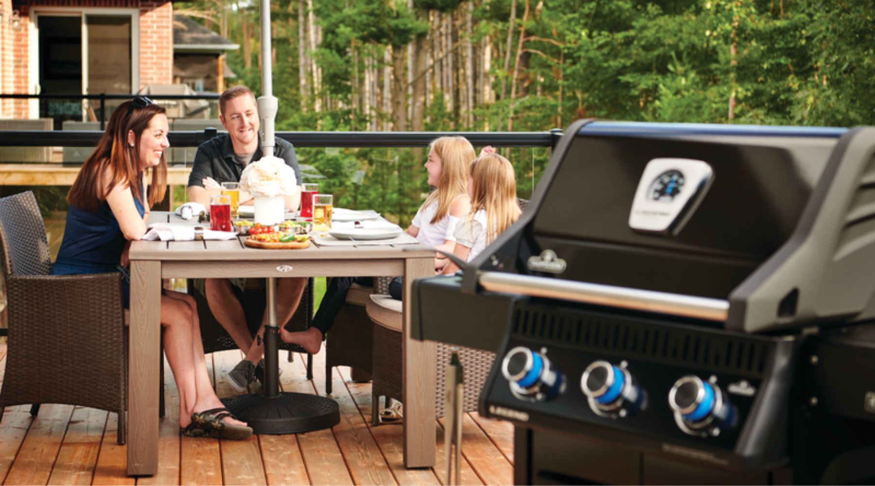 Napoleon Grills BBQs