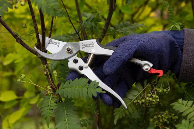 Wilkinson Sword Deluxe Boxed Bypass Pruners Wilkinson Sword