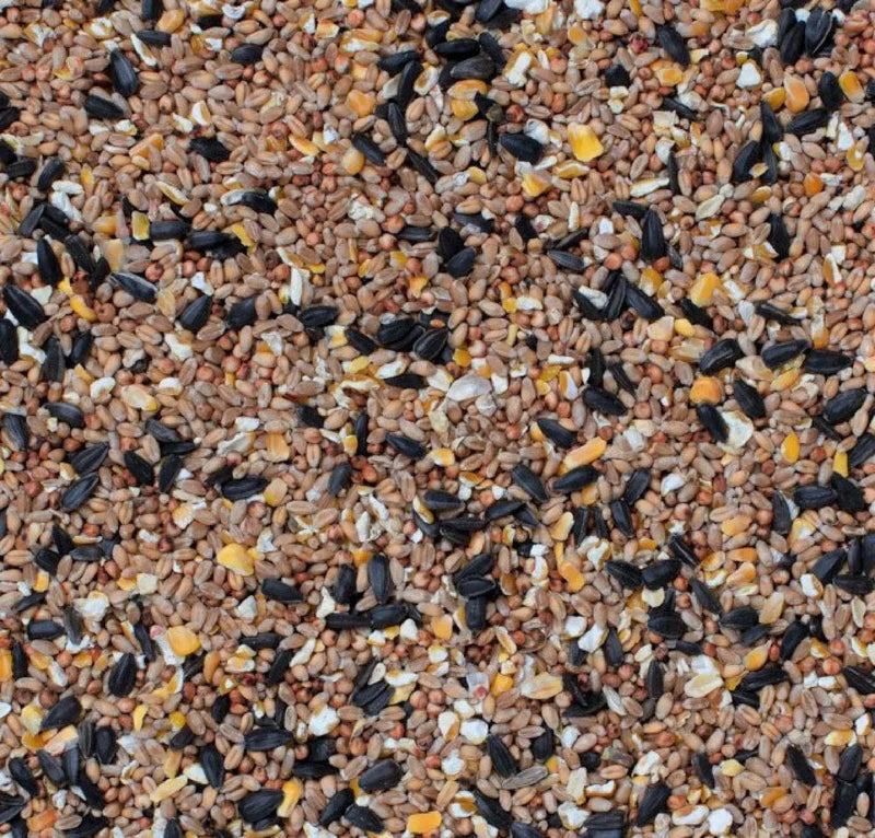 Henry Bell Superior Seed Mix 2Kg Henry Bell