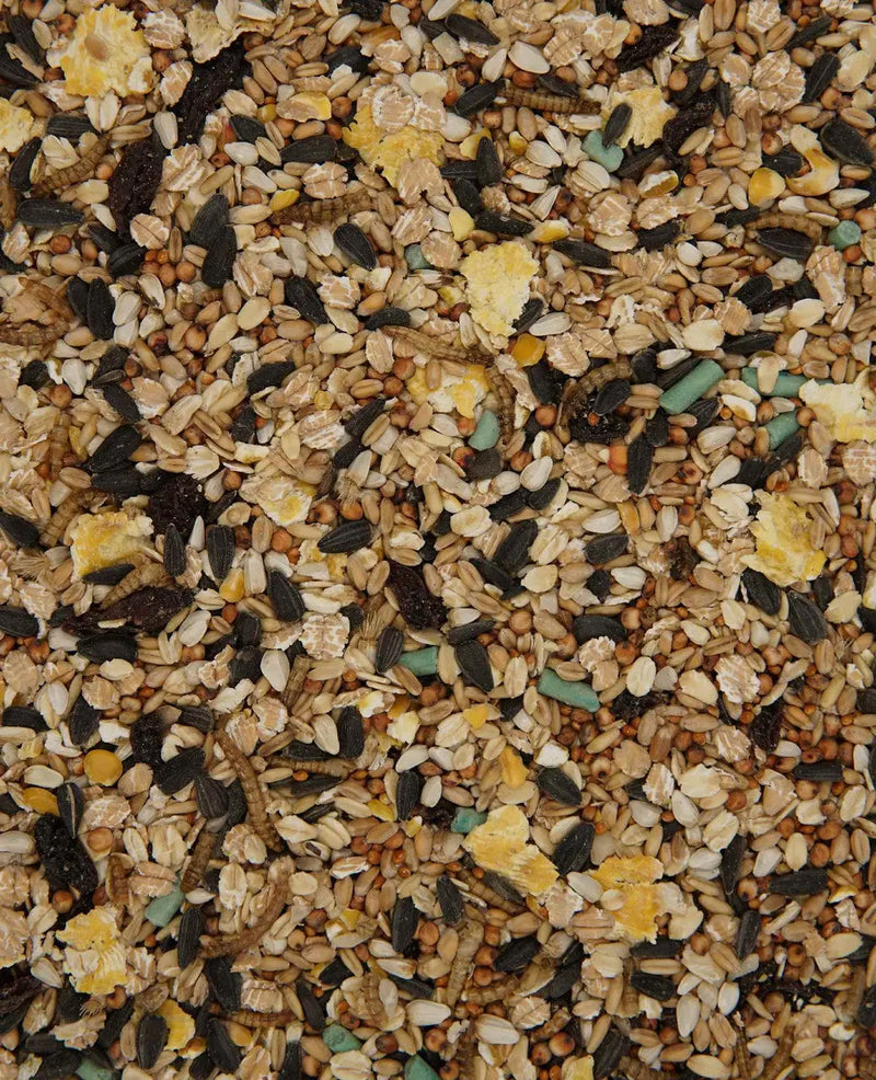 Henry Bell Songbird Blend 1.8Kg Henry Bell