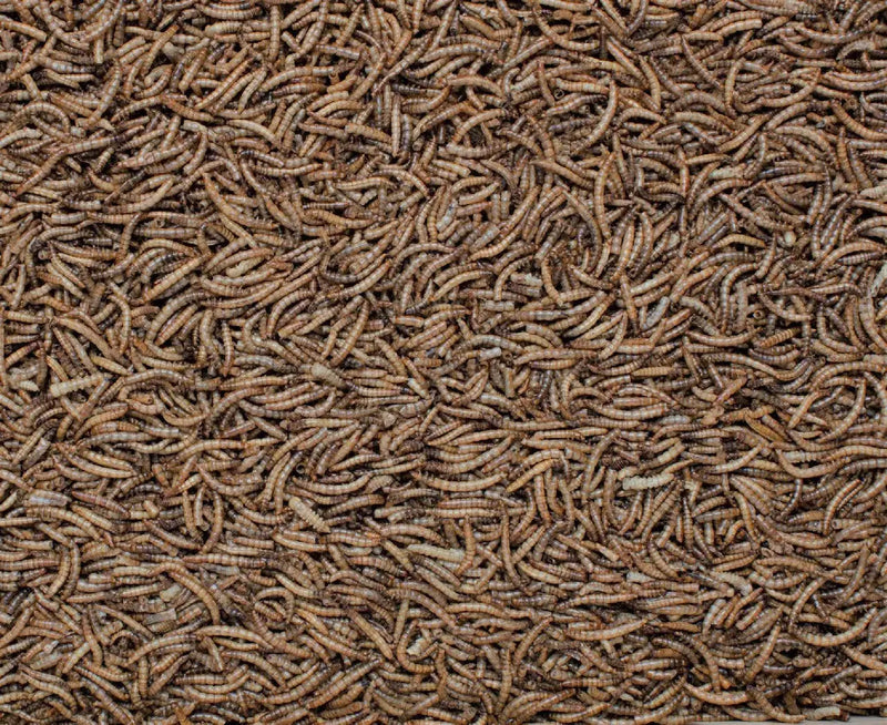 Henry Bell Mealworm 1Kg Henry Bell
