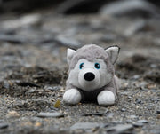 Planet Hitty Husky Plush Dog Toy