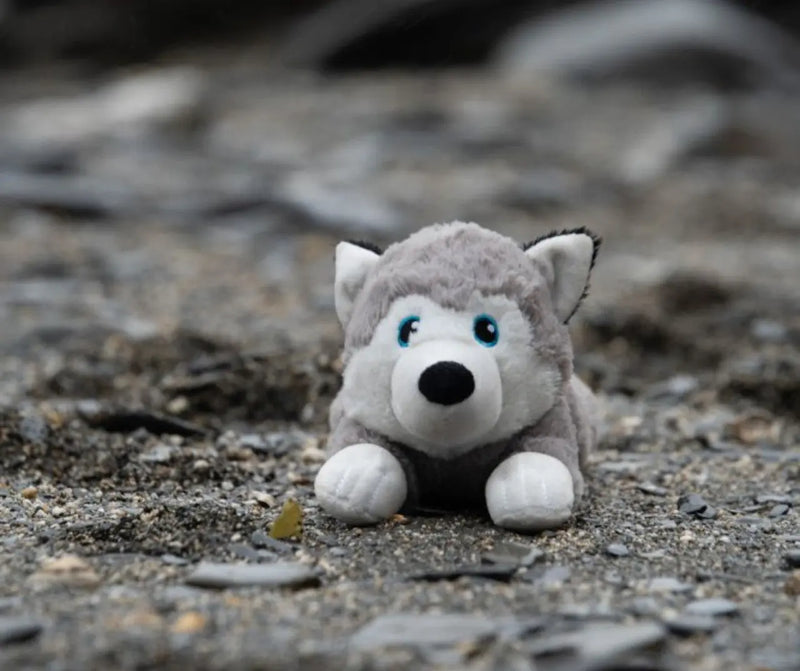 Planet Hitty Husky Plush Dog Toy
