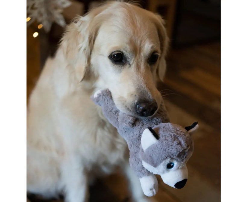 Planet Hitty Husky Plush Dog Toy