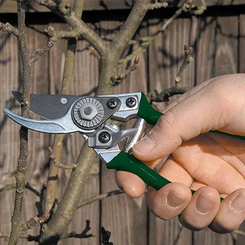 Burgon & Ball RHS Pocket Pruner Burgon & Ball
