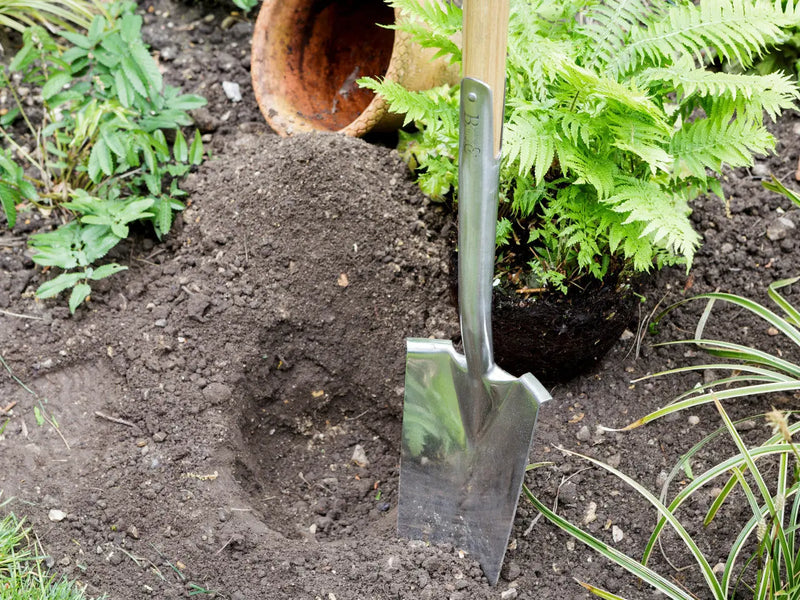 Burgon & Ball RHS Transplanting Spade Burgon & Ball