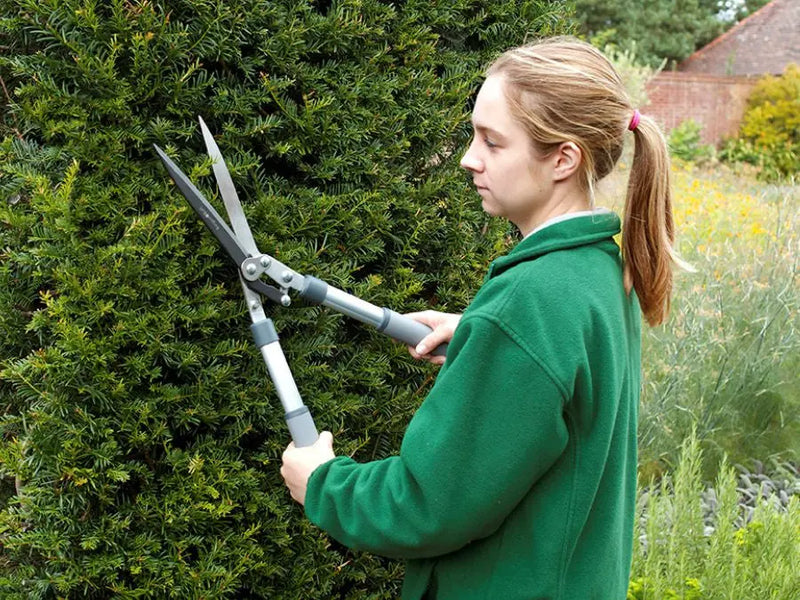 Burgon & Ball RHS Hedge Shear Burgon & Ball