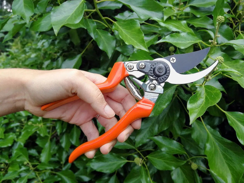 Burgon & Ball RHS Bypass Secateurs Burgon & Ball