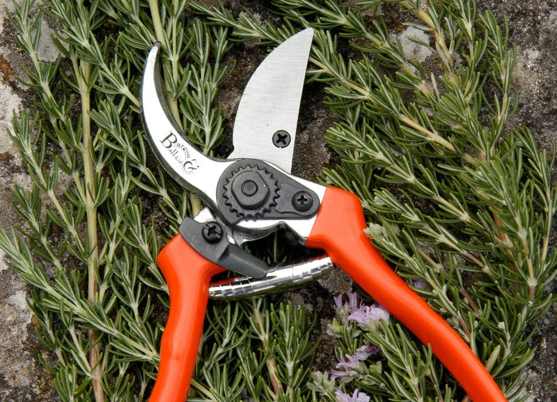 Burgon & Ball RHS Bypass Secateurs Burgon & Ball