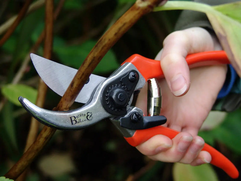 Burgon & Ball RHS Bypass Secateurs Burgon & Ball