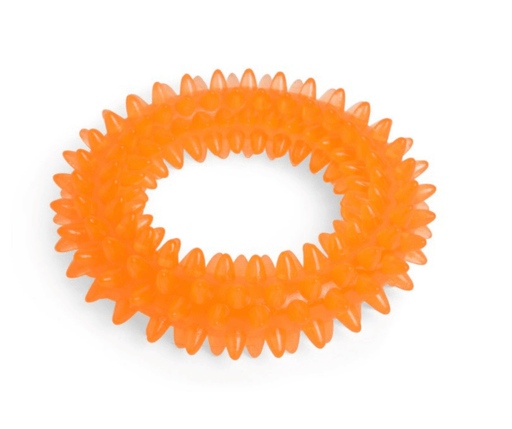 Seriously Strong Dental Ring Dog Toy