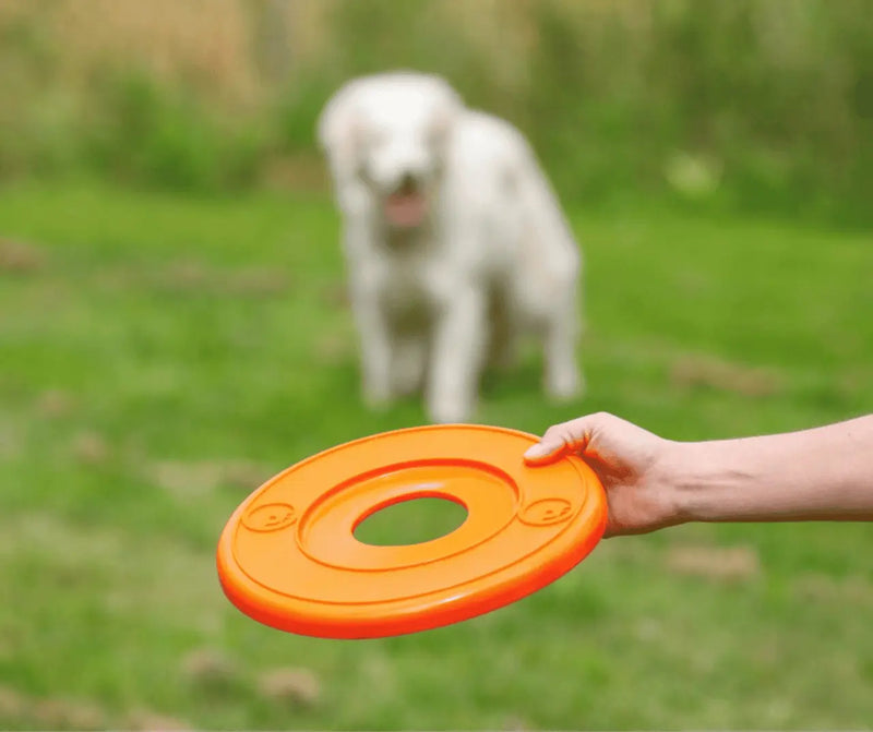 Toyz Flyer Dog Toy