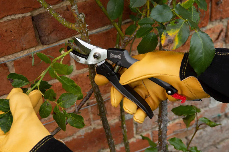 Wilkinson Sword Aluminium Anvil Pruners Wilkinson Sword