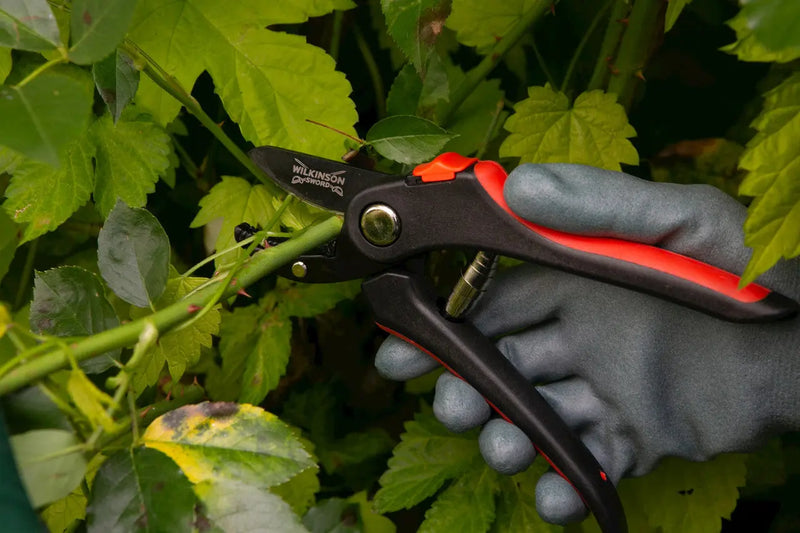 Wilkinson Sword Anvil Pruners Wilkinson Sword
