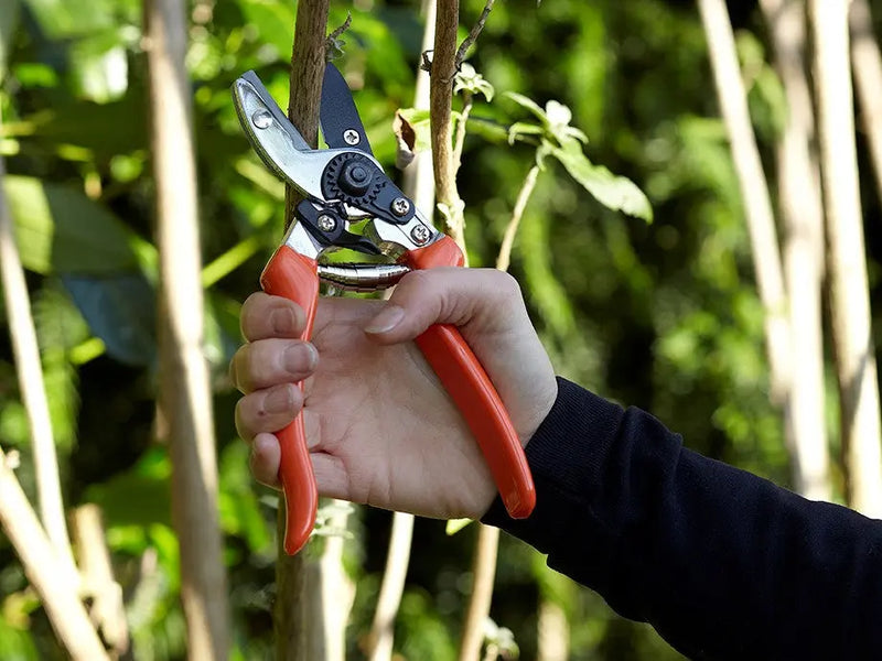 Burgon & Ball RHS Anvil Secateur Burgon & Ball