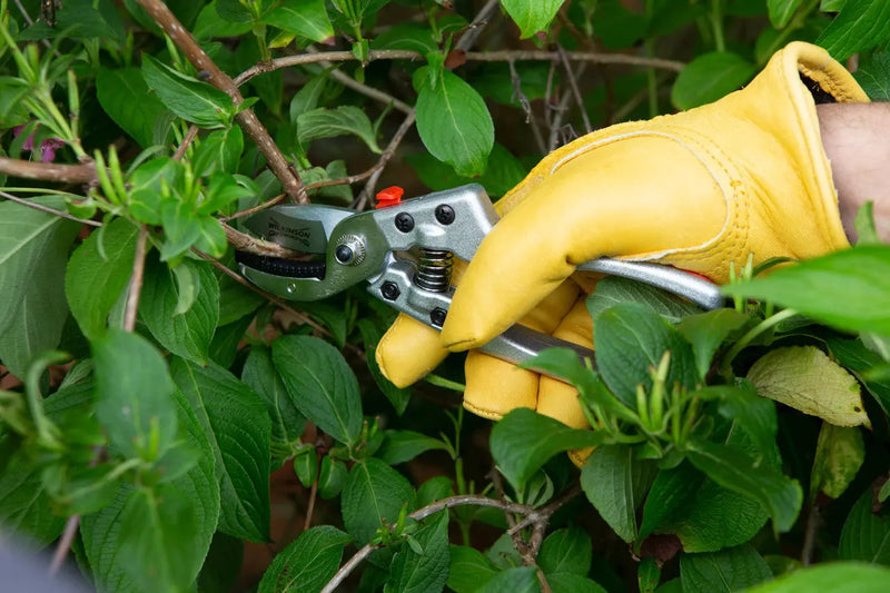 Wilkinson Sword Razorcut Comfort Anvil Pruner Wilkinson Sword