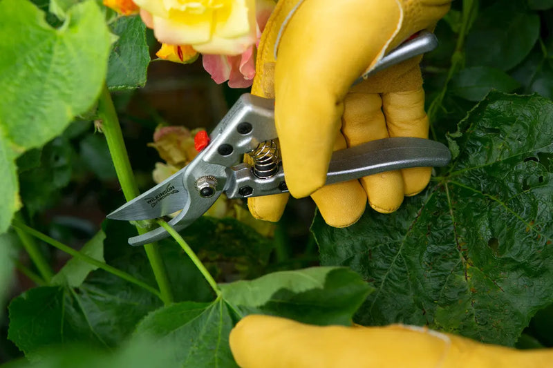 Wilkinson Sword Razorcut Comfort Medium Bypass Pruner Wilkinson Sword