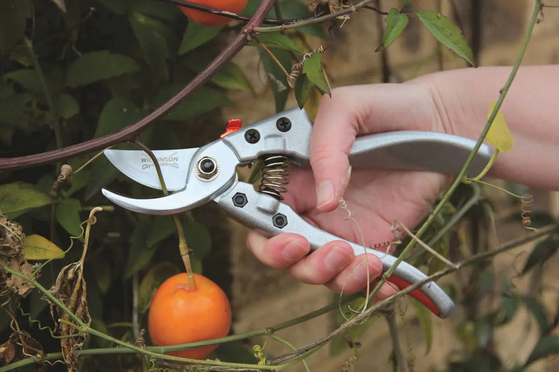 Wilkinson Sword Razorcut Comfort Medium Bypass Pruner Wilkinson Sword