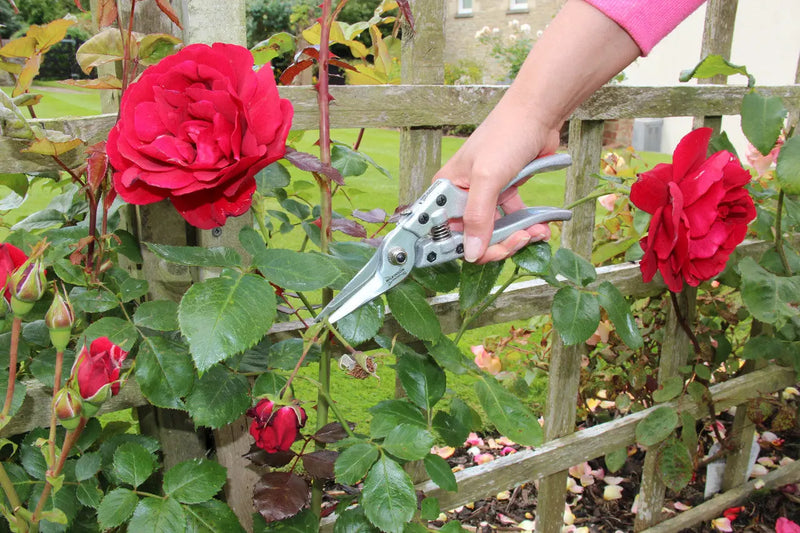 Wilkinson Sword Razorcut Comfort Pruning Snips Wilkinson Sword